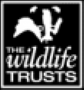 Wildlife Travel Ltd logo