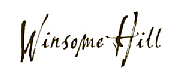 Winsome Properties Ltd logo