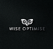Wise Optimise logo