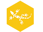Yellow Lizard Media Ltd logo