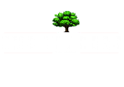 Zms Traders Ltd logo