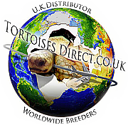 Zoological International Ltd logo