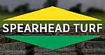 Spearhead Turf image