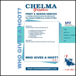 Screen shot of the Chelma Graphics website.