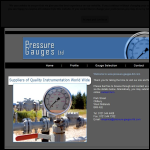 Screen shot of the Pressure Gauges Ltd website.