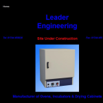 Screen shot of the Leader Engineering website.