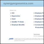 Screen shot of the Synergy Ergonomics website.