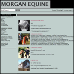 Screen shot of the Morgan Equine Ltd website.