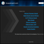 Screen shot of the Blue Pelican IT website.