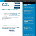 Screen shot of the Your E Solutions website.