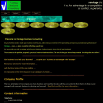 Screen shot of the Vantage Business Consulting Ltd website.