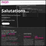 Screen shot of the Neon Digital website.
