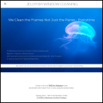 Screen shot of the Jellyfish Window Cleaning website.