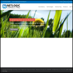 Screen shot of the Netlogic Consulting Ltd website.