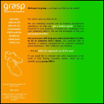 Screen shot of the Grasp - Business Development website.