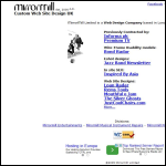Screen shot of the Mirrormill Ltd website.