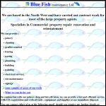 Screen shot of the Blue Fish Maintenance Ltd website.