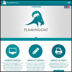 Screen shot of the Flamingoat Website Design & Graphics website.