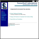 Screen shot of the Somerford Testing website.