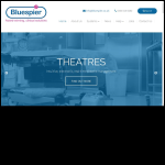Screen shot of the Bluespier International Ltd website.