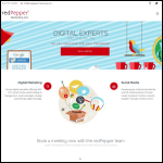 Screen shot of the Red Pepper Marketing Ltd website.