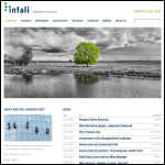 Screen shot of the Intali Property Strategy website.