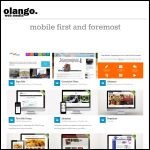 Screen shot of the Olango Web Media website.