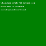 Screen shot of the Chameleon Scrubs website.