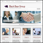 Screen shot of the Black Bear Group Ltd website.