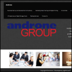 Screen shot of the Androne Group website.
