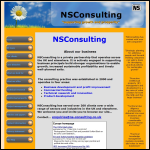 Screen shot of the NS Consulting website.