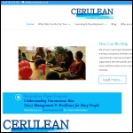 Screen shot of the Cerulean Ltd website.