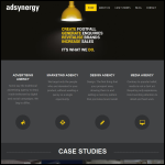 Screen shot of the Advertising Synergy website.