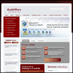Screen shot of the AuditWare Systems Ltd website.