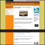 Screen shot of the Bespoke Marketing Solutions website.