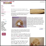 Screen shot of the Egyptian Loofah website.