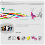 Screen shot of the Cluistrom Ltd website.