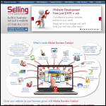 Screen shot of the Selling Online Ltd website.