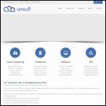 Screen shot of the Amsoft Websites & Databases website.