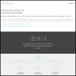 Screen shot of the Bie Interim Executive Ltd website.