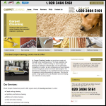 Screen shot of the Carpet Cleaners website.