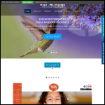 Screen shot of the VizionOnline Ltd website.