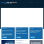 Screen shot of the Procuro Consultants website.