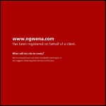 Screen shot of the Ngwena Ltd website.