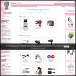 Screen shot of the Salon Sales website.
