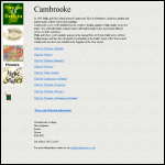 Screen shot of the Cambrooke Fine Art Publishers Ltd website.
