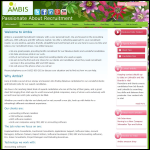 Screen shot of the Ambis Resourcing Partnership website.