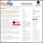 Screen shot of the Bluefish Computer Services website.