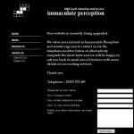 Screen shot of the Immaculate Perception website.