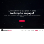 Screen shot of the Digital Niche Ltd website.
